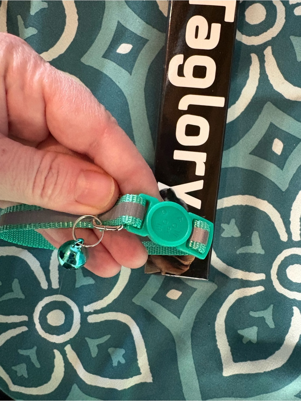 Taglory Teal Cat Collar with Bell